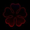 7951332 0 2 - Black Clover EU Store
